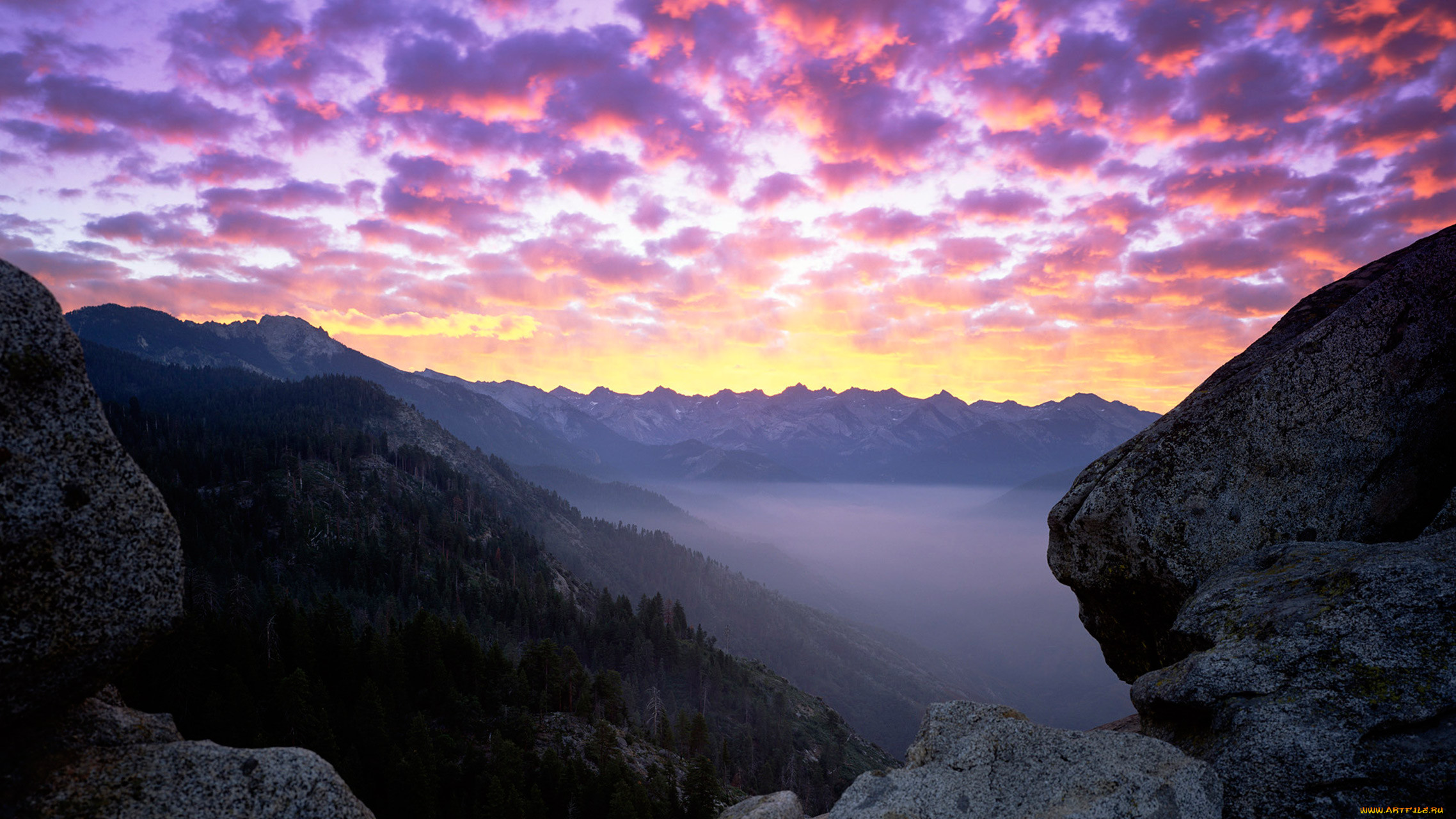 sequoia national park, , , , park, , , national, sequoia, , , 